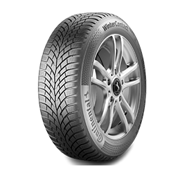WINTERCONTACT TS 870