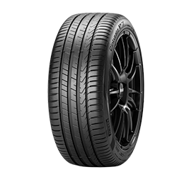 CINTURATO (P7C2)